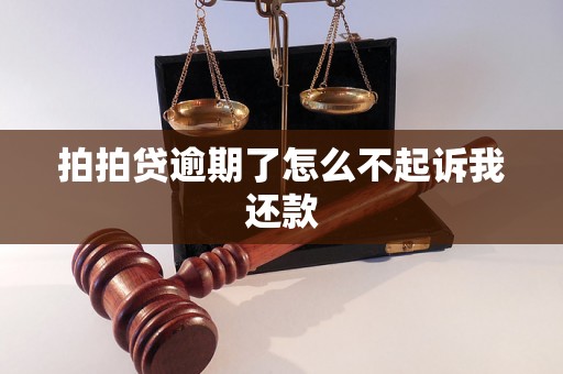 拍拍贷逾期了怎么不起诉我还款