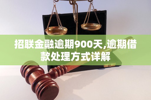 招联金融逾期900天,逾期借款处理方式详解