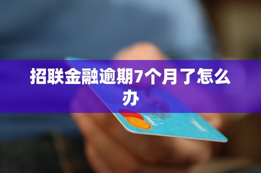 招联金融逾期7个月了怎么办