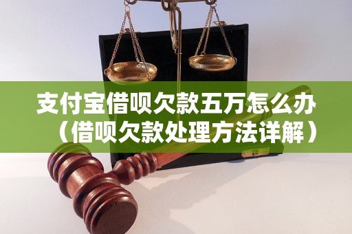 支付宝借呗欠款五万怎么办（借呗欠款处理方法详解）