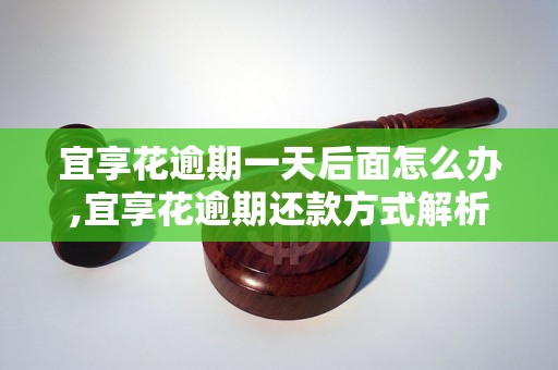 宜享花逾期一天后面怎么办,宜享花逾期还款方式解析