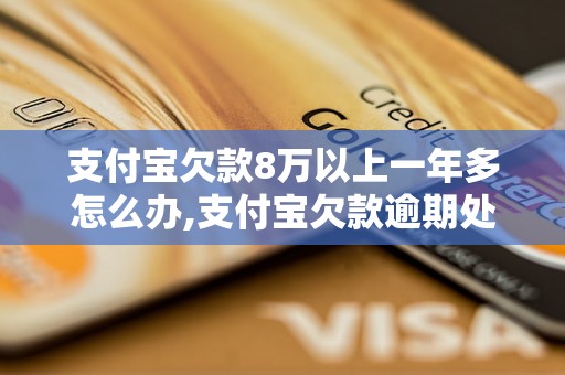 支付宝欠款8万以上一年多怎么办,支付宝欠款逾期处理方法