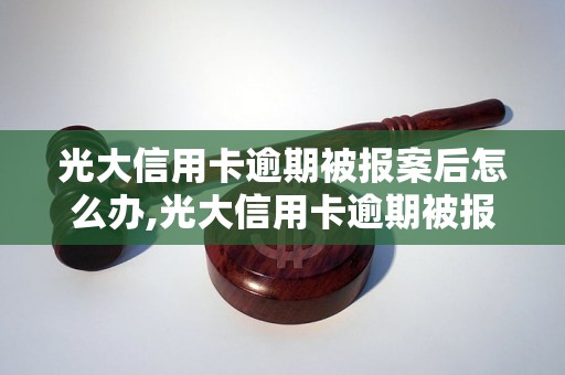 光大信用卡逾期被报案后怎么办,光大信用卡逾期被报案后的处罚措施