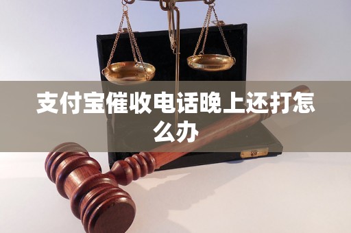 支付宝催收电话晚上还打怎么办