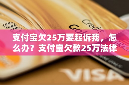 支付宝欠25万要起诉我，怎么办？支付宝欠款25万法律风险分析