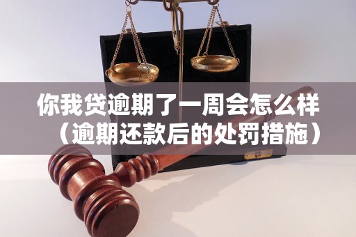 你我贷逾期了一周会怎么样（逾期还款后的处罚措施）