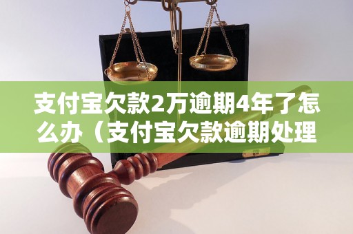 支付宝欠款2万逾期4年了怎么办（支付宝欠款逾期处理方法详解）