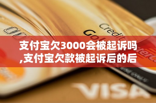 支付宝欠3000会被起诉吗,支付宝欠款被起诉后的后果