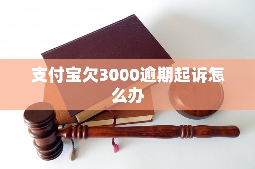 支付宝欠3000逾期起诉怎么办