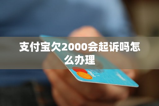 支付宝欠2000会起诉吗怎么办理