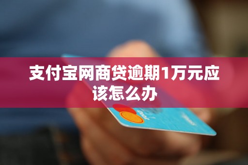 支付宝网商贷逾期1万元应该怎么办