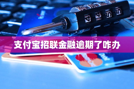 支付宝招联金融逾期了咋办