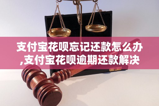 支付宝花呗忘记还款怎么办,支付宝花呗逾期还款解决方法