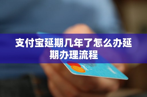 支付宝延期几年了怎么办延期办理流程