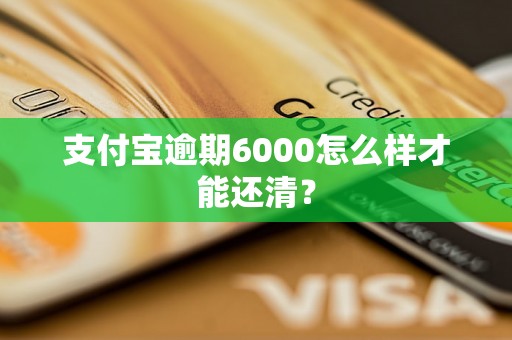 支付宝逾期6000怎么样才能还清？