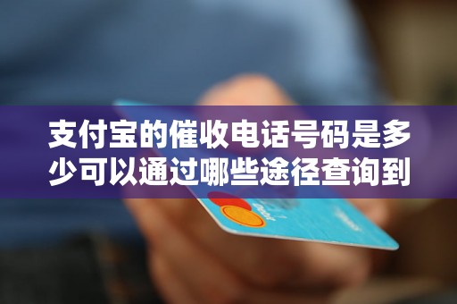 支付宝的催收电话号码是多少可以通过哪些途径查询到？