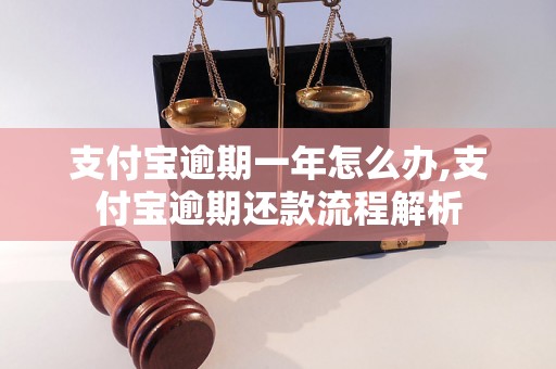 支付宝逾期一年怎么办,支付宝逾期还款流程解析