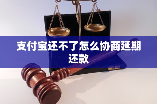 支付宝还不了怎么协商延期还款