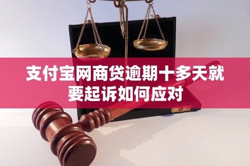 支付宝网商贷逾期十多天就要起诉如何应对