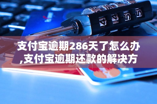 支付宝逾期286天了怎么办,支付宝逾期还款的解决方法