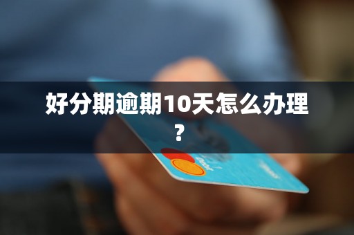 好分期逾期10天怎么办理？