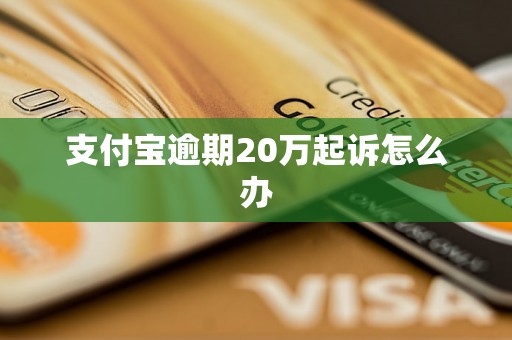 支付宝逾期20万起诉怎么办