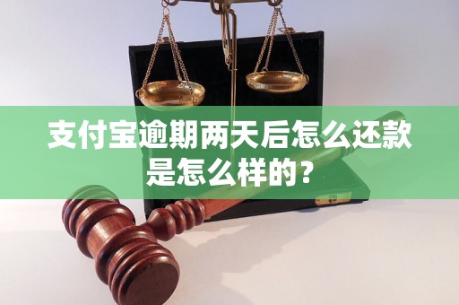 支付宝逾期两天后怎么还款是怎么样的？