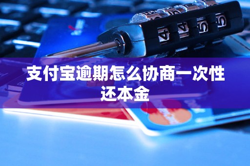 支付宝逾期怎么协商一次性还本金