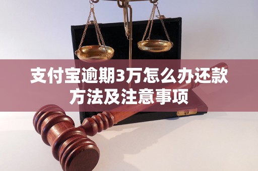 支付宝逾期3万怎么办还款方法及注意事项