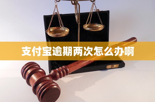 支付宝逾期两次怎么办啊