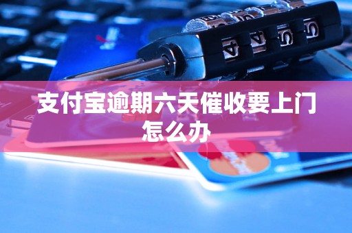 支付宝逾期六天催收要上门怎么办