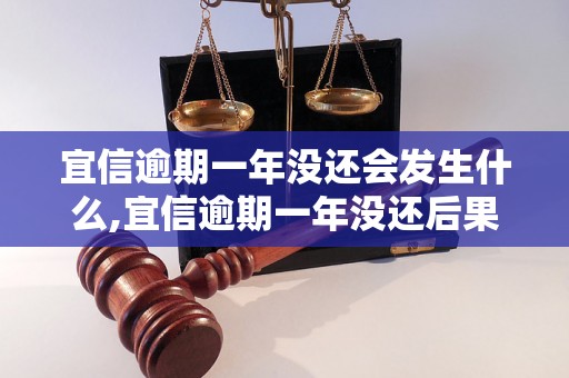 宜信逾期一年没还会发生什么,宜信逾期一年没还后果严重吗