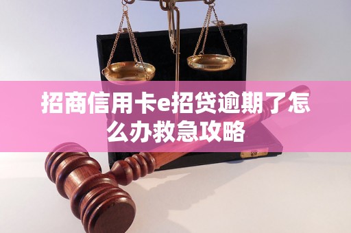 招商信用卡e招贷逾期了怎么办救急攻略