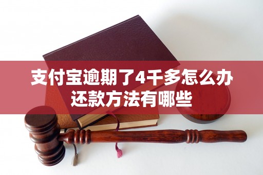 支付宝逾期了4千多怎么办还款方法有哪些