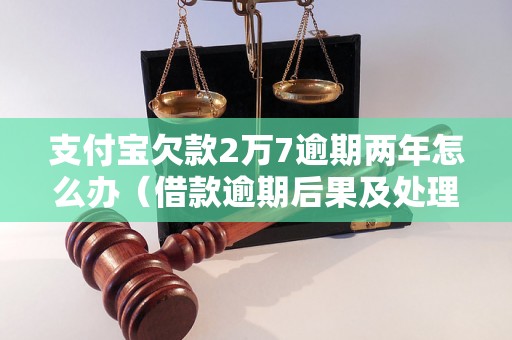 支付宝欠款2万7逾期两年怎么办（借款逾期后果及处理方法）