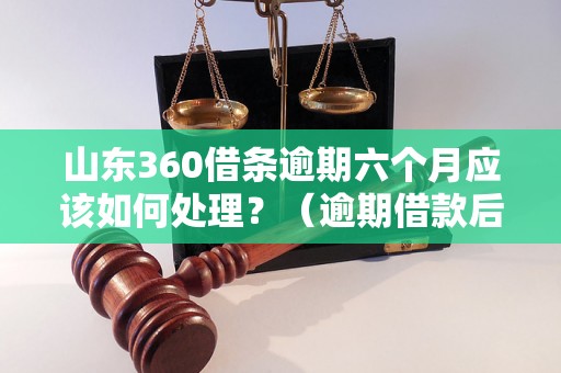 山东360借条逾期六个月应该如何处理？（逾期借款后的后果和解决方法）