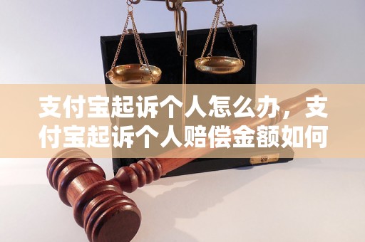 支付宝起诉个人怎么办，支付宝起诉个人赔偿金额如何计算