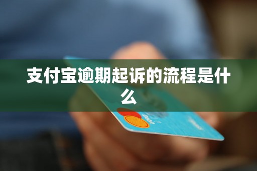 支付宝逾期起诉的流程是什么