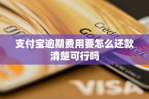 支付宝逾期费用要怎么还款清楚可行吗