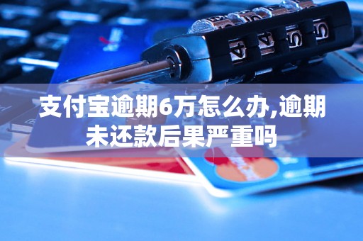 支付宝逾期6万怎么办,逾期未还款后果严重吗