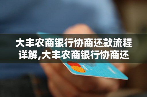 大丰农商银行协商还款流程详解,大丰农商银行协商还款注意事项