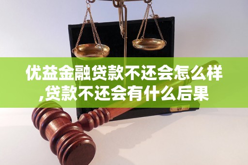 优益金融贷款不还会怎么样,贷款不还会有什么后果