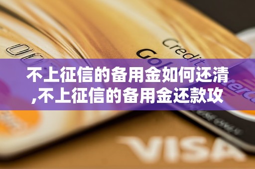 不上征信的备用金如何还清,不上征信的备用金还款攻略