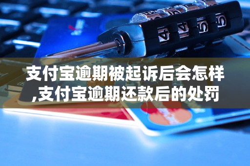 支付宝逾期被起诉后会怎样,支付宝逾期还款后的处罚措施