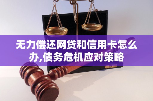 无力偿还网贷和信用卡怎么办,债务危机应对策略