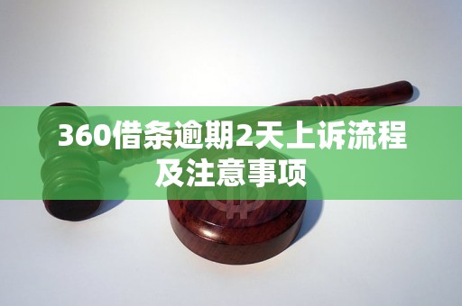 360借条逾期2天上诉流程及注意事项