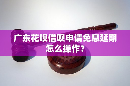 广东花呗借呗申请免息延期怎么操作？