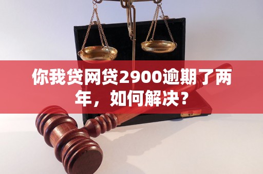 你我贷网贷2900逾期了两年，如何解决？