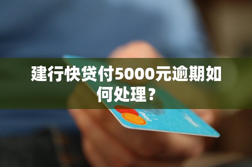 建行快贷付5000元逾期如何处理？