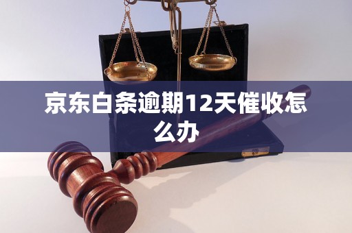 京东白条逾期12天催收怎么办